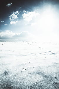 snow, winter, landscape, minimal thumbnail