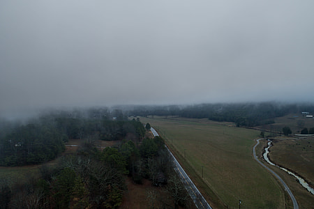 aerial photo of land mass with trees thumbnail