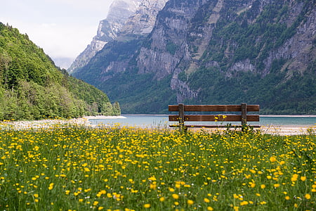 landscale photography of nature thumbnail