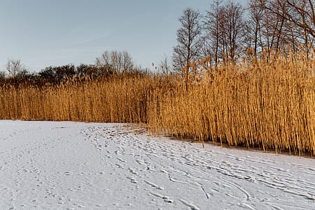 In middle of frozen lake thumbnail