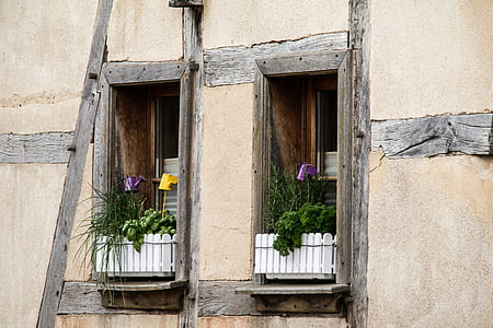 two brown windows with flowers on focus photo thumbnail
