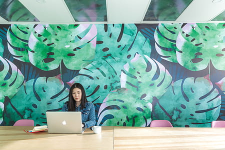Leaf Wall Mural Office Photo thumbnail