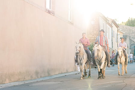 three men riding horses thumbnail