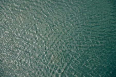 photo of an aquatic-themed artwork thumbnail