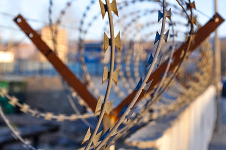 close up photo of barbwires thumbnail