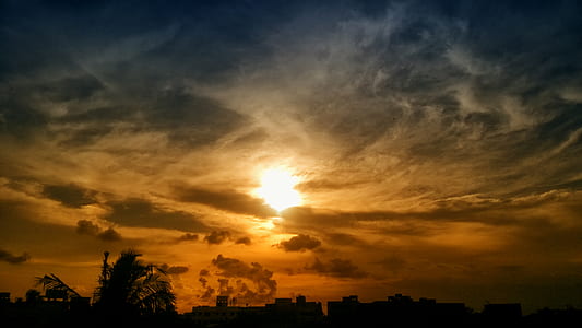 Silhouette of Trees and Buildings during Golden Hour thumbnail