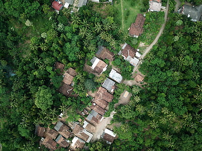Aerial View of Sheds thumbnail