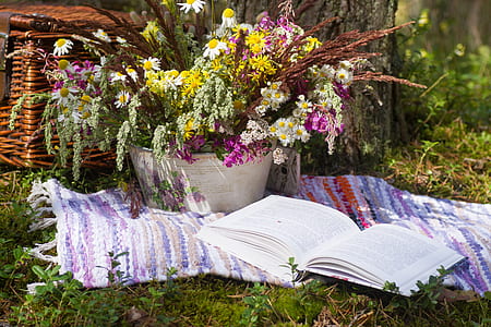 yellow, white, and pink flowers in round white pot beside white book thumbnail