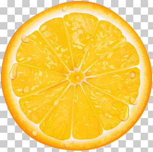 Lemon Orange slice , Orange Slice Transparent , sliced lemon PNG clipart