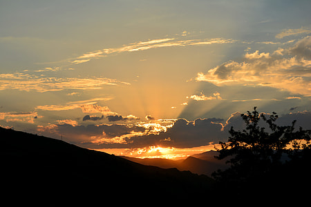 silhouette photography of tree under clouds thumbnail
