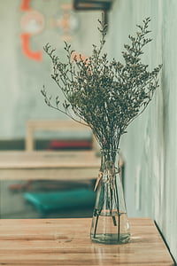 close-up photography of green leafed plant on table thumbnail