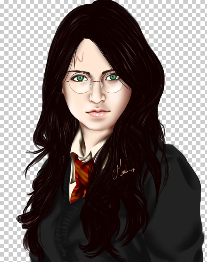 Hermione Granger Harry Potter Literary Series Dobby The House