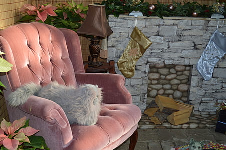 white cat on pink armchair thumbnail
