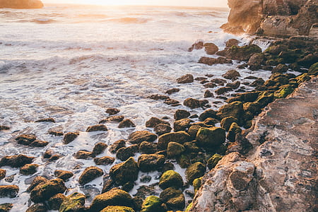 brown rock in shoreline photography thumbnail