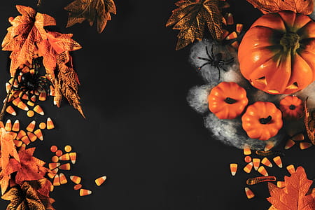 Halloween Flatlay Photo thumbnail