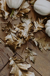 White pumpkins with golden oak leaves thumbnail