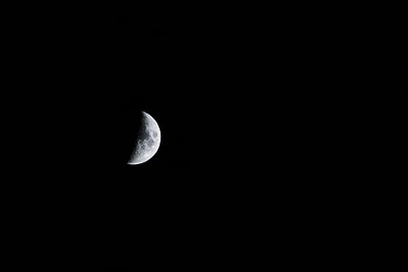 quarter moon illustration thumbnail