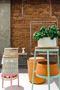 Plants in flowerpots on an exhibition thumbnail