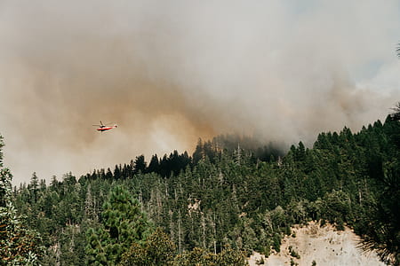 red and white airliner flying above burning trees thumbnail