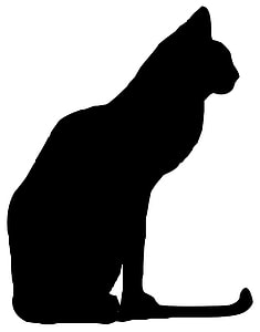 photo of black cat art thumbnail