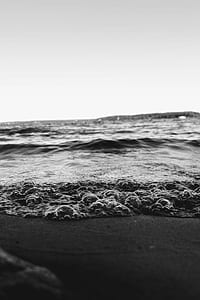 grayscale photo of seashore thumbnail