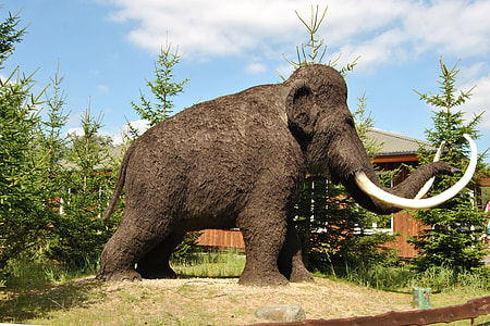 Sculpture, Animal Sculpture thumbnail