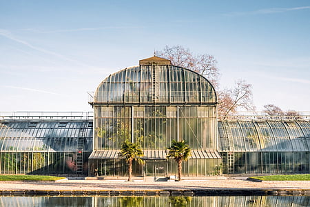 two green palm trees in front of greenhouse under cloudy sky thumbnail