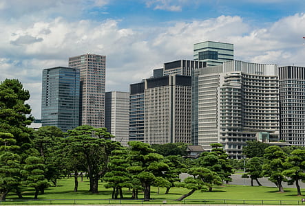 green trees near buildings thumbnail