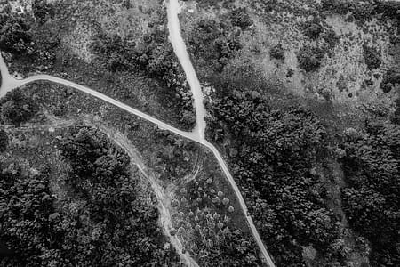 Bird's Eye View Photo of Landscape thumbnail