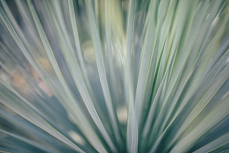 abstract, blur, bright, flare, flash, futuristic thumbnail