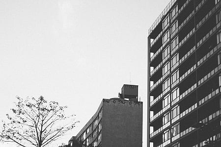 black-and-white, city, building, architecture thumbnail