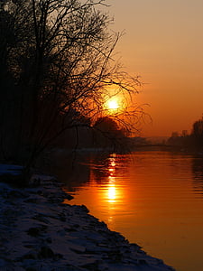 silhouette of withered tree near body of water thumbnail
