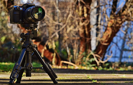black DSLR camera on camera tripod stand thumbnail