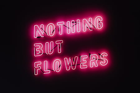 Nothing But Flowers Glowing Neon thumbnail