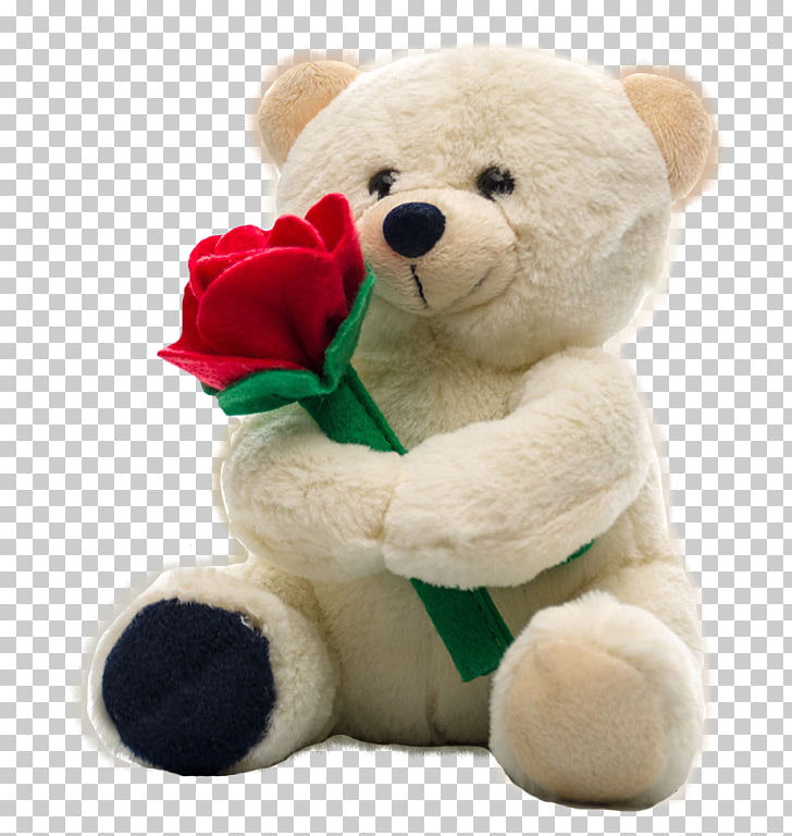 rose love bear