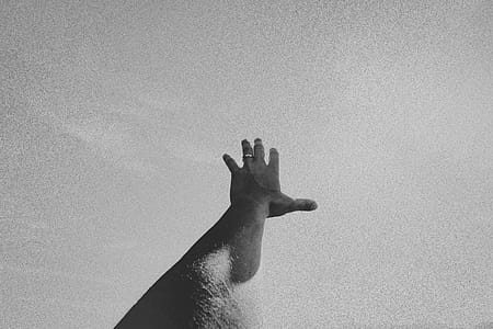 Monochrome Photo of Left Hand thumbnail