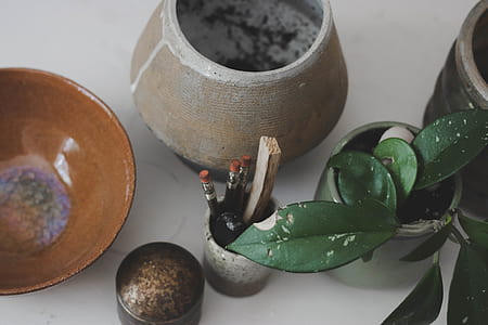 plants near container thumbnail