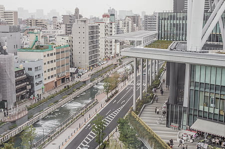 aerial view of buildings and trees thumbnail