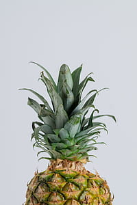 Half Pineapple Photo thumbnail