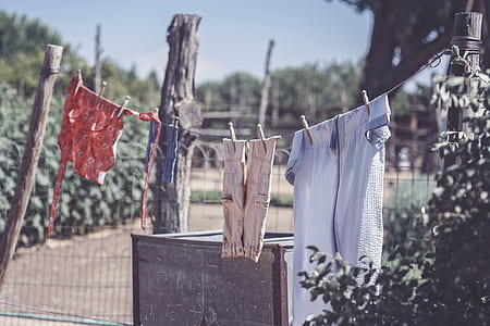 clothes hanged on clothesline thumbnail