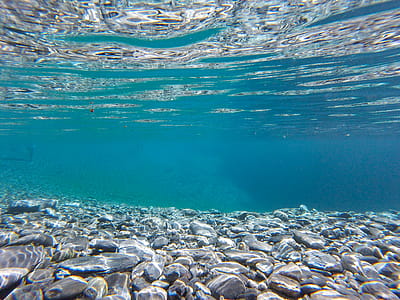 Underwater Photography of Clear Water thumbnail