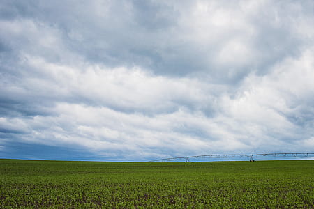 Green Grass Field Under Cumulonimbus Clouds thumbnail