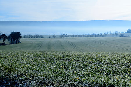 green grass field under clear blue sky thumbnail