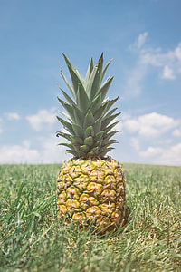 focus photography of pineapple fruit thumbnail