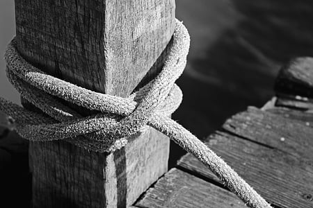 grayscale photo of tied rope on lumber thumbnail
