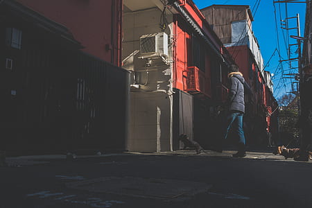 boy and dog standing near building thumbnail