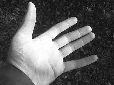 left hand thumbnail