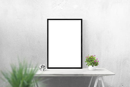 plain white canvas with black frame on table beside pink flowers thumbnail