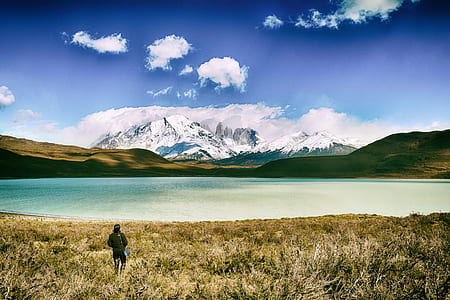 person standing on green grass field near body of water under cloudy sky thumbnail