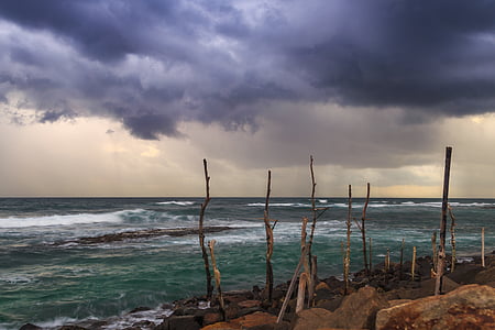 tree branches stood on rocks near body of water under gray cloudy sky thumbnail